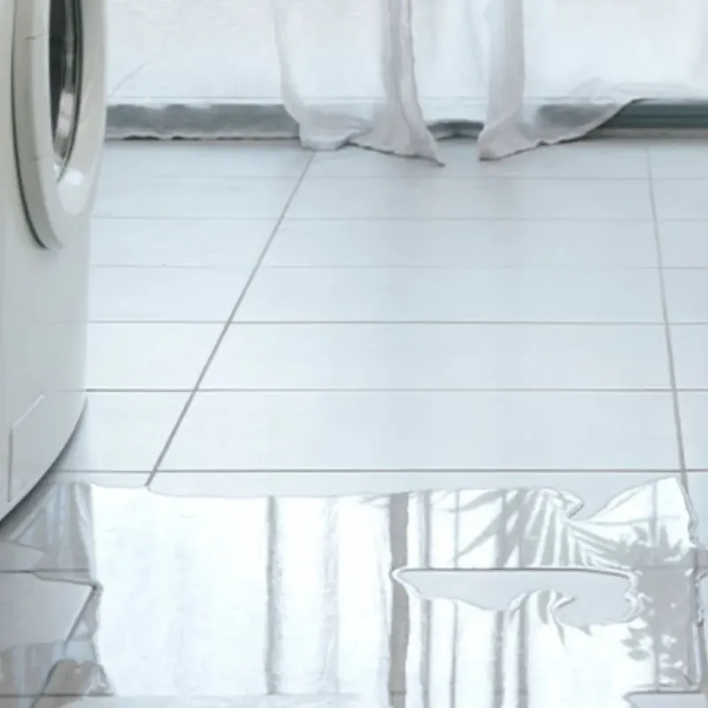 Appliance Leak Cleanup in Sugar Grove, IL