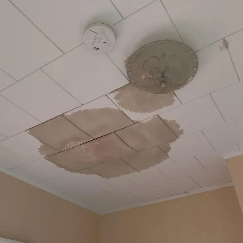 Ceiling Water Damage Repair in Sugar Grove, IL