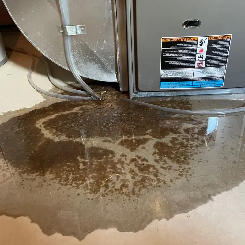 Pipe Burst and Leak Restoration in Sugar Grove, IL